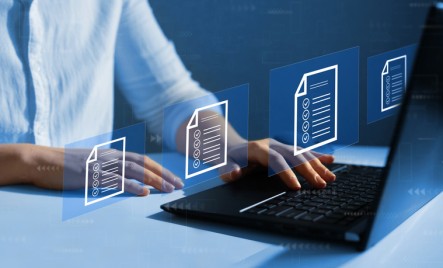 Anmeldefenster Netzportal Anmeldefenster Netzportal